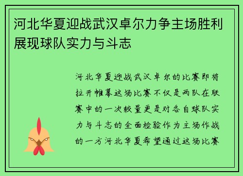 河北华夏迎战武汉卓尔力争主场胜利展现球队实力与斗志