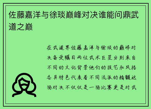 佐藤嘉洋与徐琰巅峰对决谁能问鼎武道之巅